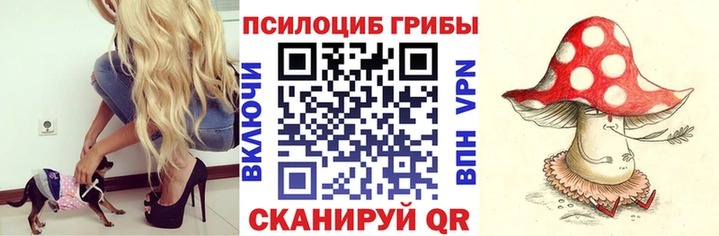 darknet официальный сайт  Дмитров  Псилоцибиновые грибы ЛСД 